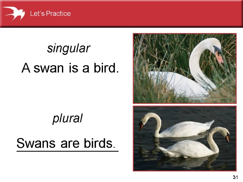 31 A swan is a bird. singular plural Swans are birds. Let’s Practice